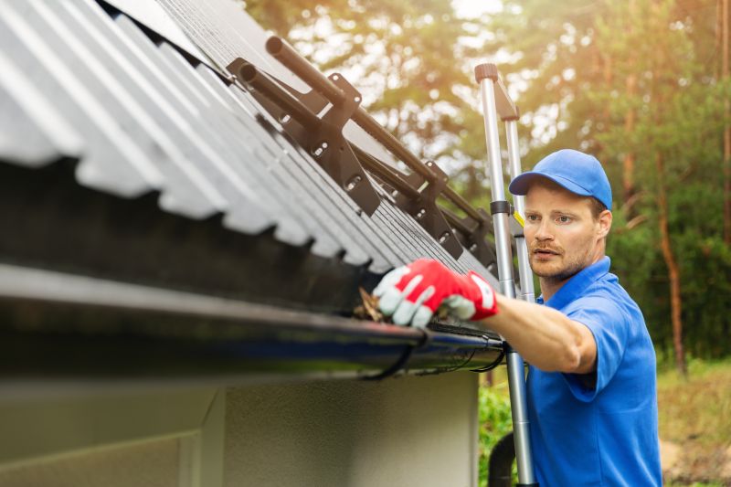 Preventative Gutter Care